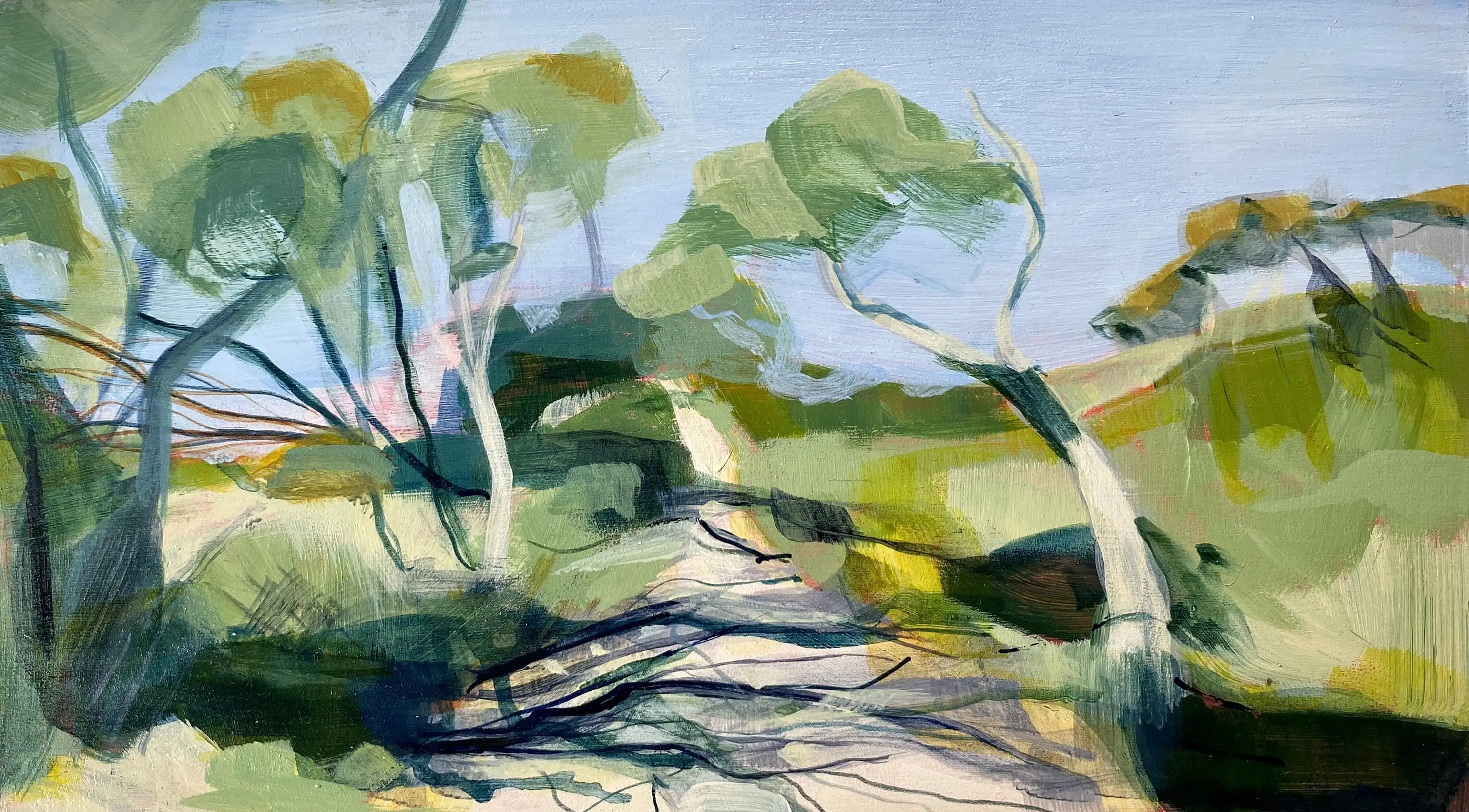 Port Fairy Beach Track 2_Shari Nye