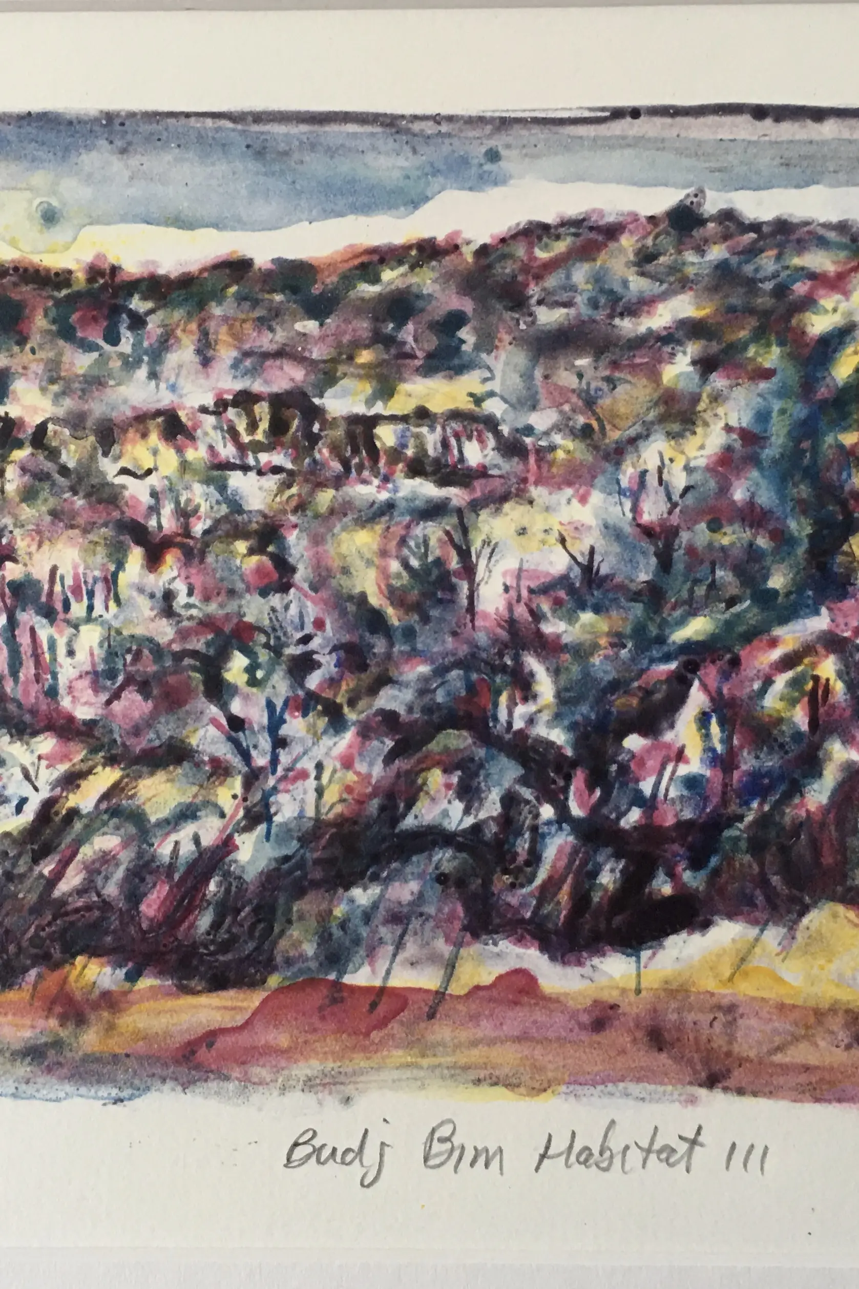 DEs FENNESSEY Budj Bim Habitat 111